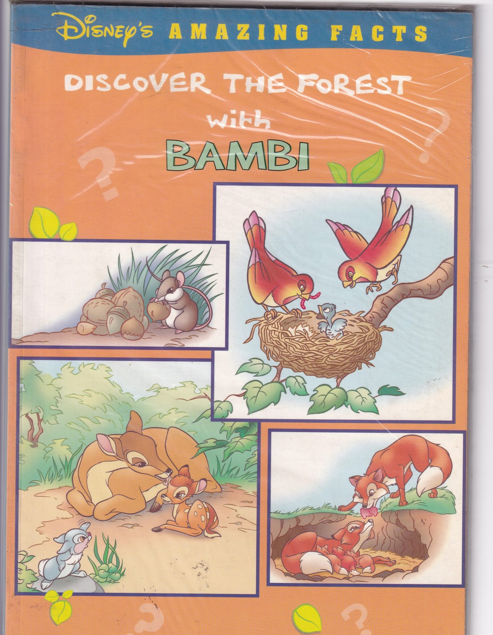 Discover the forest with bombi