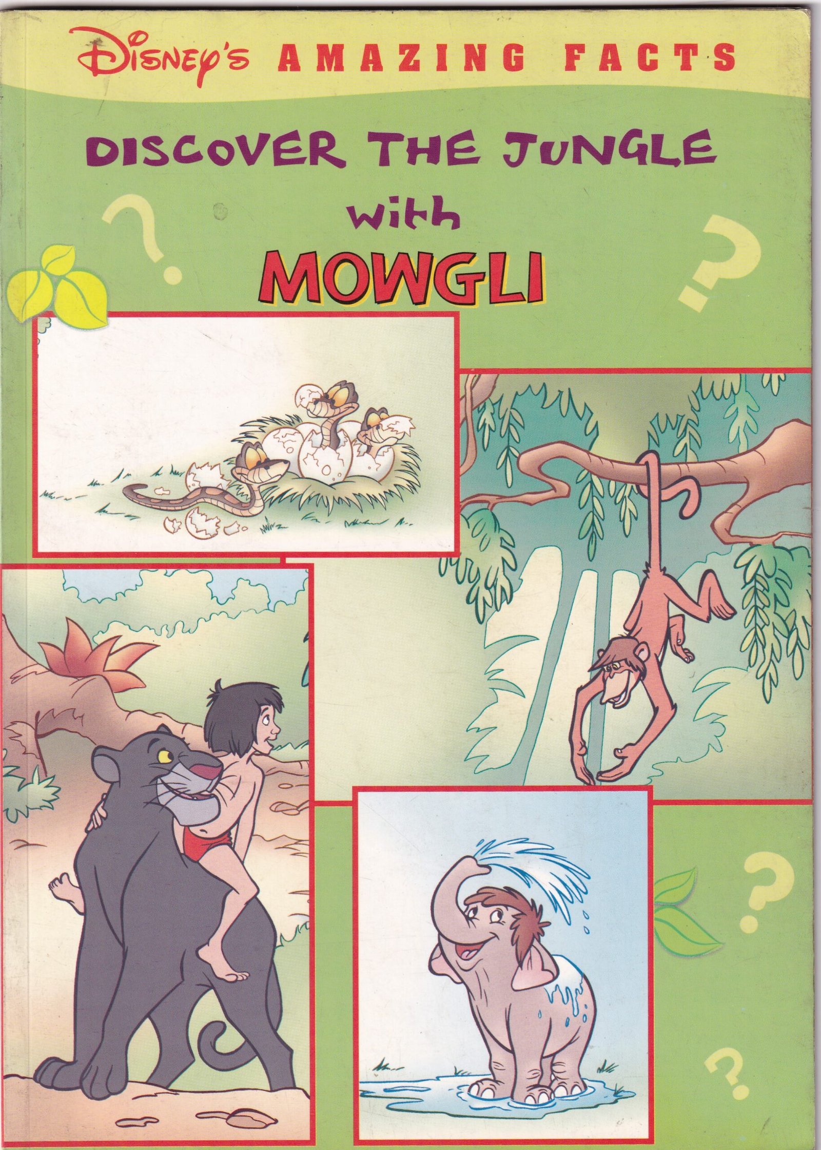 Discover the jungle with mowgli