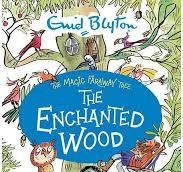 ENID BLYTON THE MAGIC FARAWAY TREE THE ENCHANTED WOOD